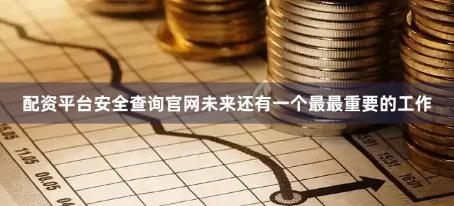 配资平台安全查询官网未来还有一个最最重要的工作