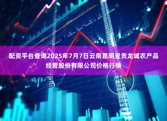 配资平台查询2025年7月7日云南昆明呈贡龙城农产品经营股份有限公司价格行情