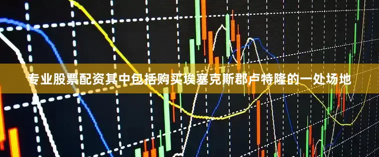 专业股票配资其中包括购买埃塞克斯郡卢特隆的一处场地