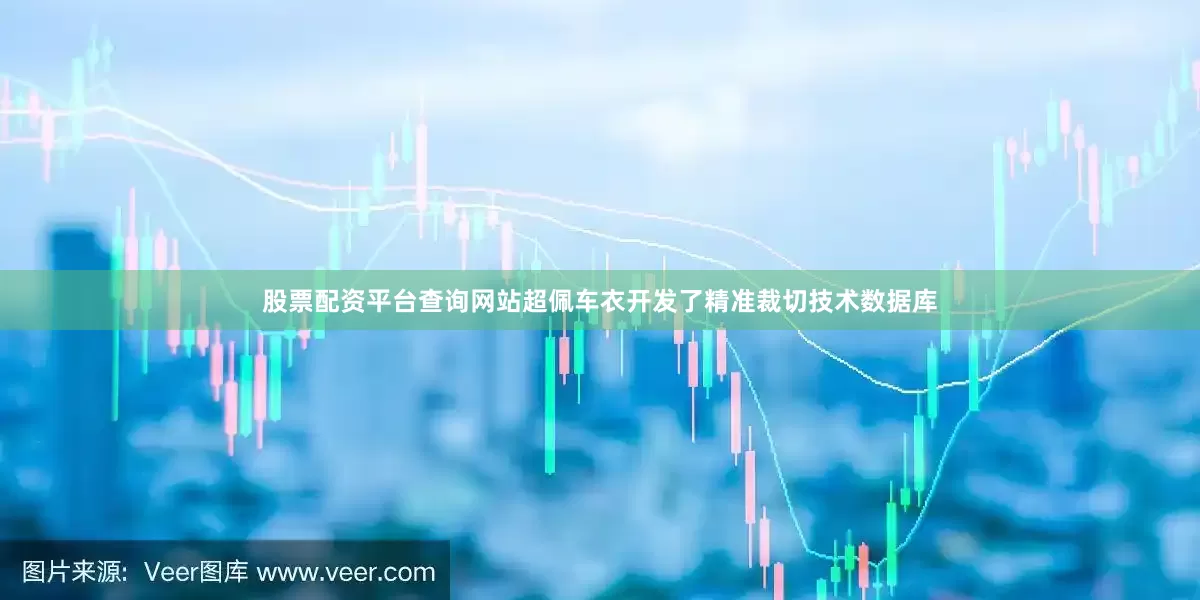 股票配资平台查询网站超佩车衣开发了精准裁切技术数据库