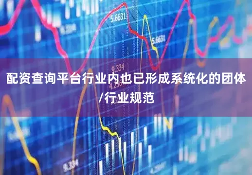 配资查询平台行业内也已形成系统化的团体/行业规范